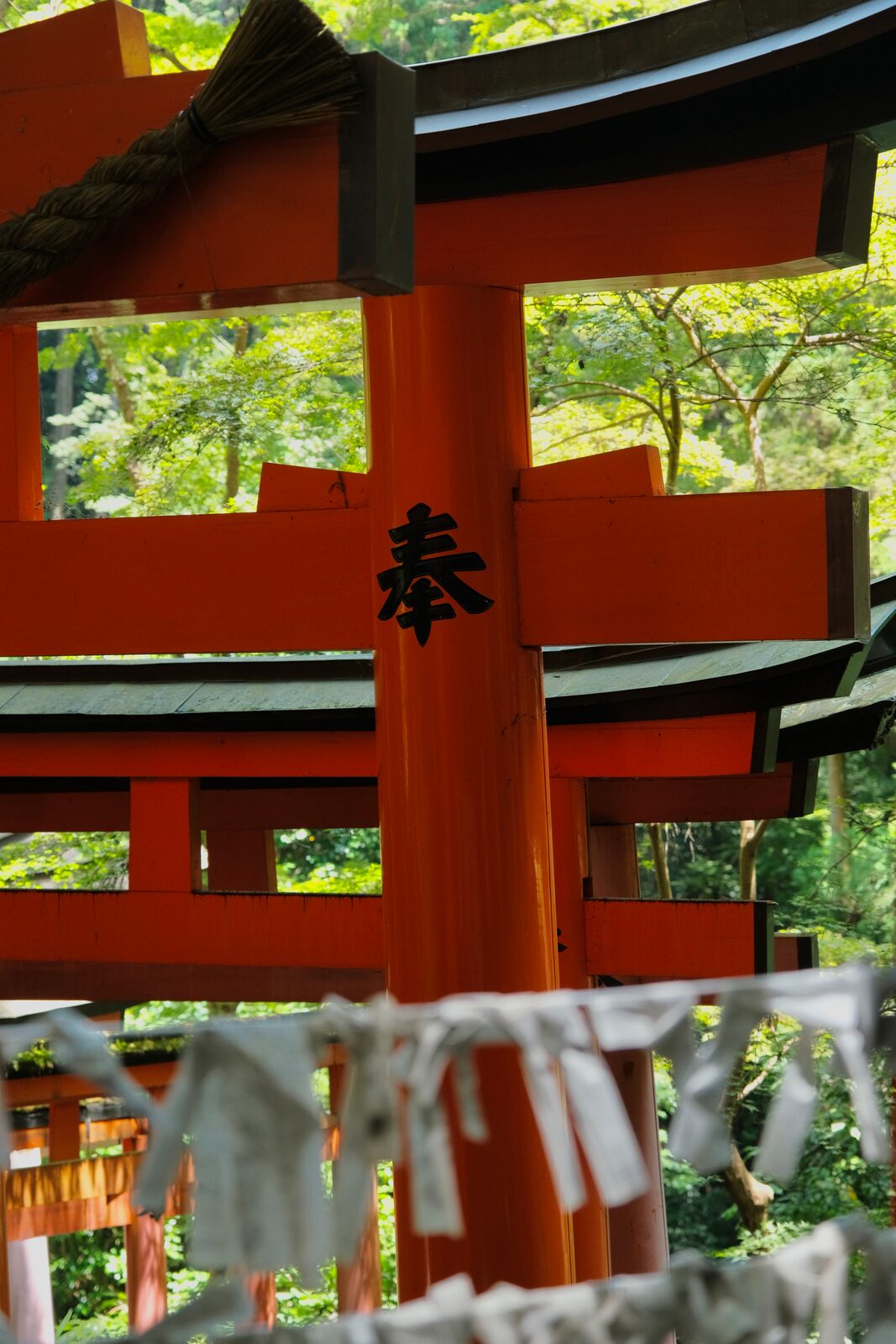 Kyoto, 2023